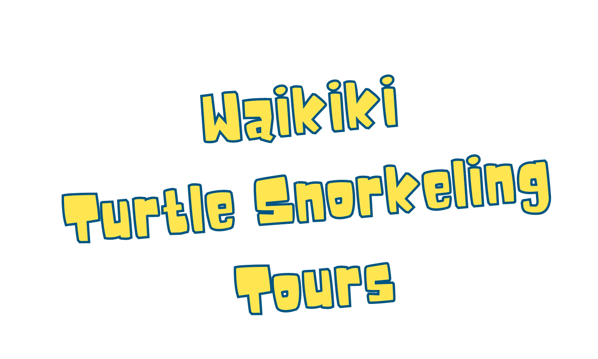 Waikiki Turtle Snorkeling Tour